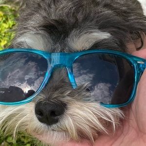 Meet your Posher, Luke